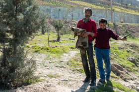 طرح ضربتی جمع آوری متکدیان از سطح شهر - کرج